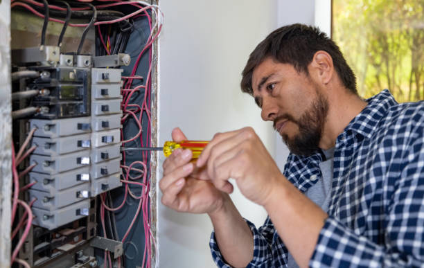 Best Generator Installation Services  in Breese, IL